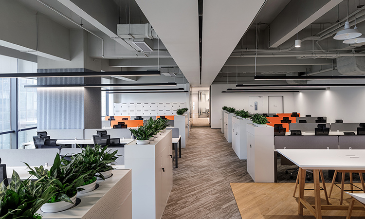 生物医药公司办公室 生物医药公司办公室