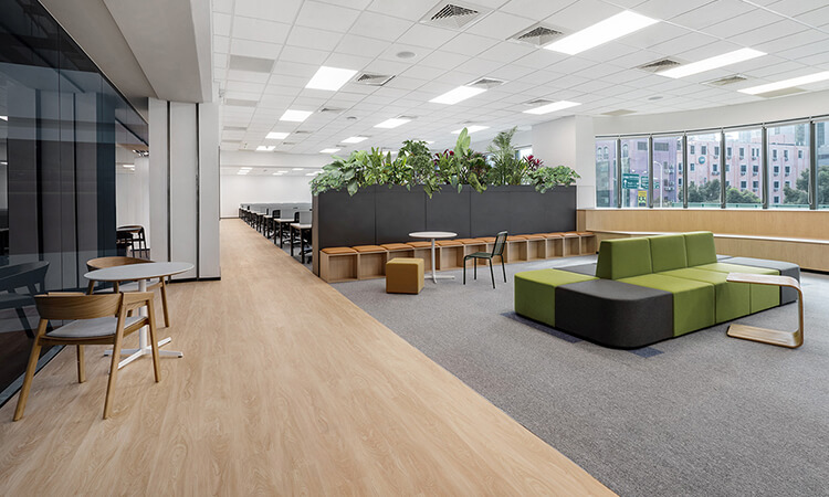 广告公司员工办公区创意绿化